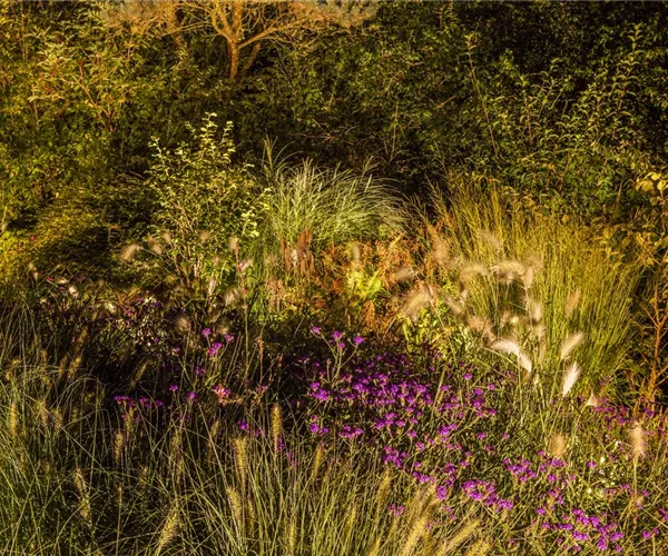 Lichtquellen machen den Garten schöner!