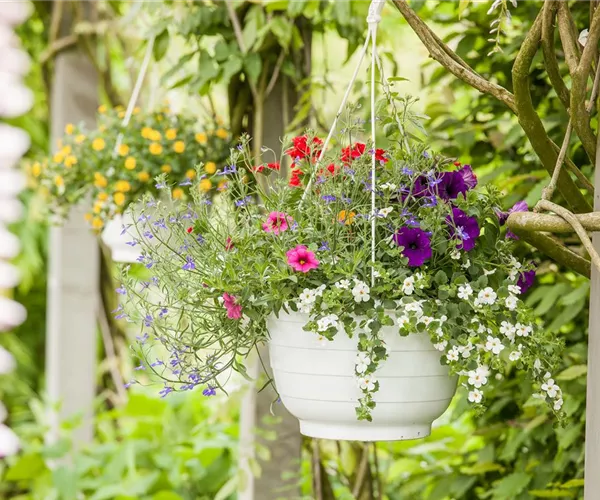Urlaub auf Balkonien – Grüne Oasen auf dem Balkon