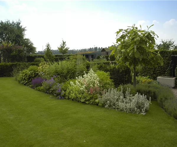 Wasser für den Rasen – Bewässerungssysteme und Tipps