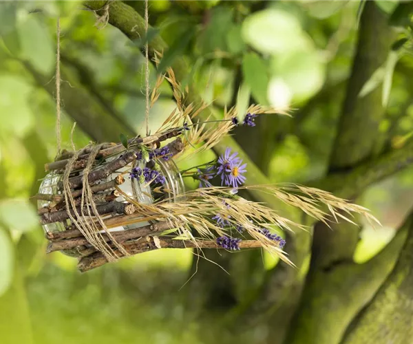 Ein Vogelhaus aus einem Weckglas - gläserner Futter-Stopp für Vögel