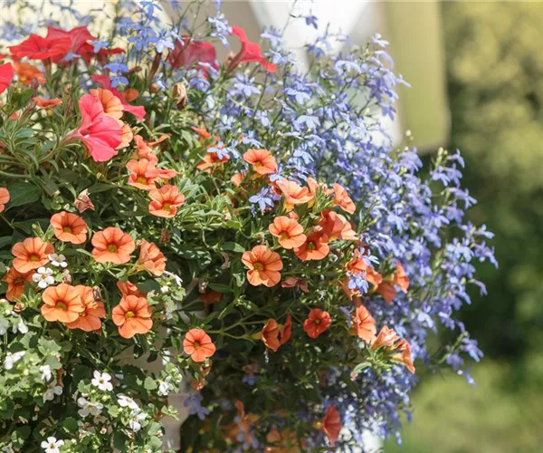 Urban Gardening – Blumenampel aus Konservendosen