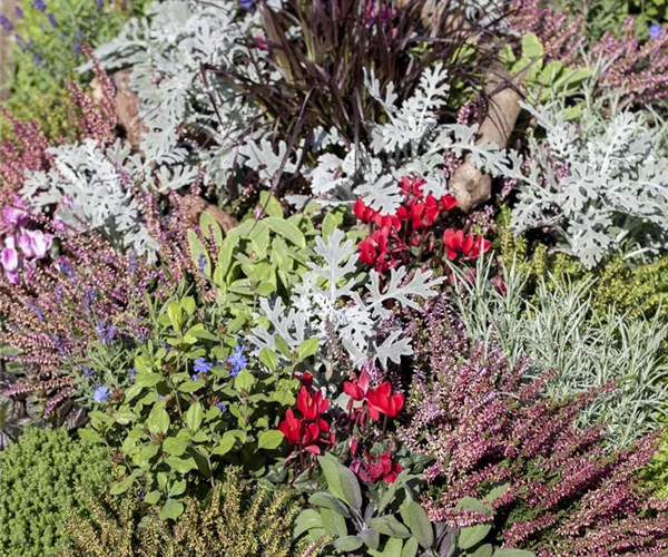 Die Grabpflege im Herbst