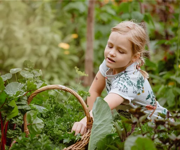 Jetzt kann geerntet werden! Kinder spielerisch einbeziehen