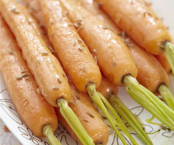 Tipps zur Lagerung von Wurzelgemüse