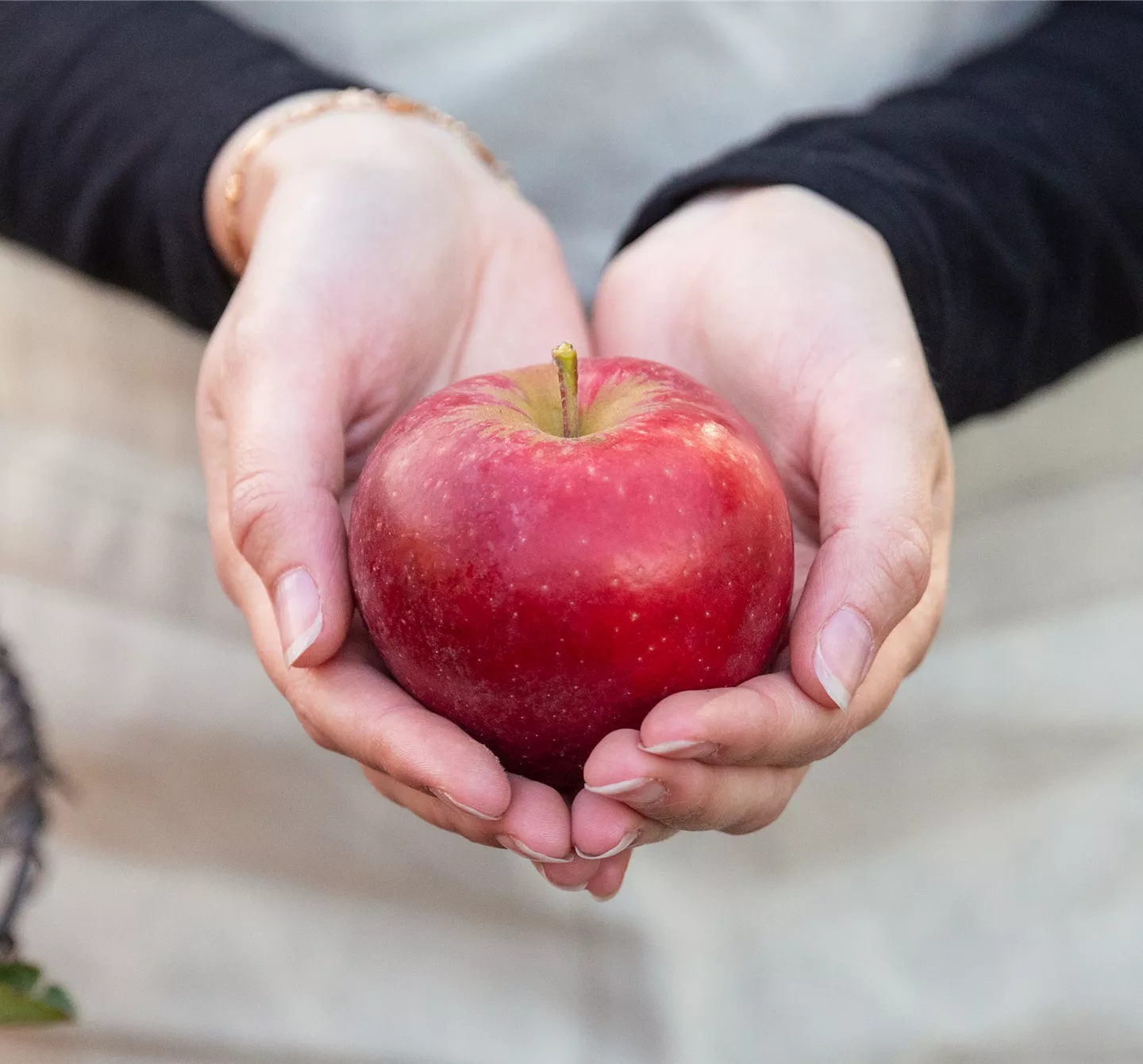 Apfelernte - Frau hält Apfel