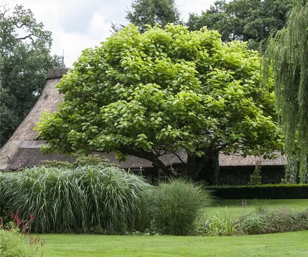 Frühjahrskur für Ihren Rasen