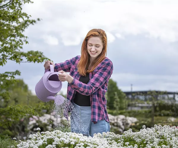 Frühling ist Pflanzzeit – ab in den Garten!