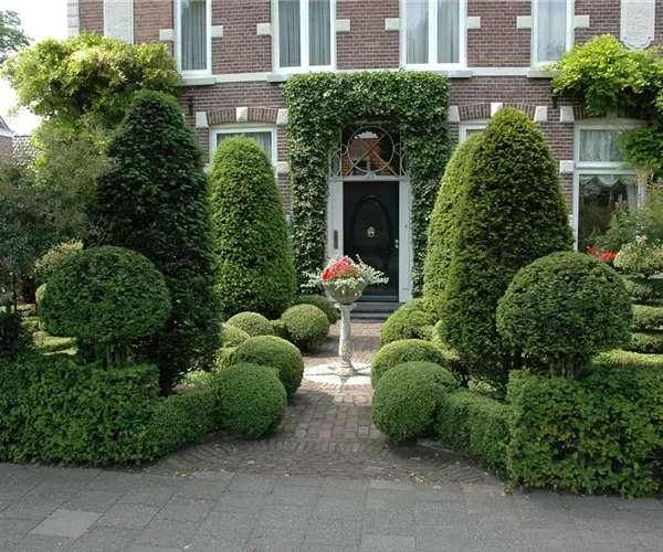 Top in Form – Büsche regelmäßig schneiden