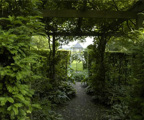 Garten easy going – so wird der Garten pflegeleicht