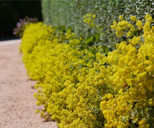 Blackbox-Gardening – die kreative Idee mit den großen Überraschungseffekten