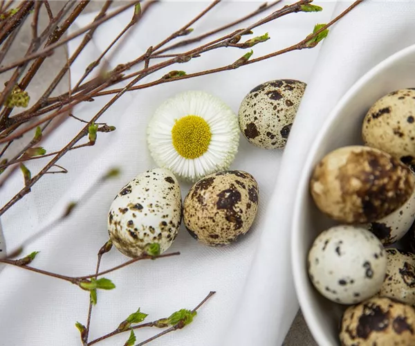 Palmsonntag: grüne Traditionen in der Kirche
