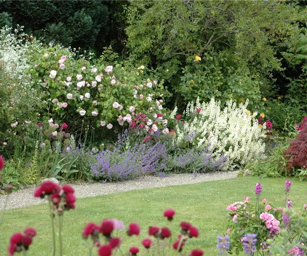 Aller Anfang ist (nicht) schwer - der erste eigene Garten