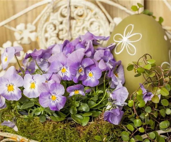 Ein buntes Osterfest mit den passenden Frühlingsboten