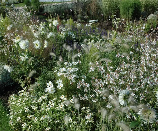 Ganz in Weiß – elegante Gartengestaltung mit Stil