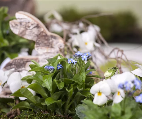 Ostern vor der Haustür