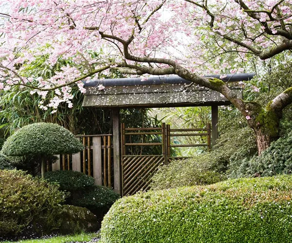 Ruhe und Erholung im japanischen Garten