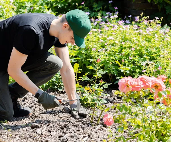 Was bringt der April dem Gärtner an Arbeit?