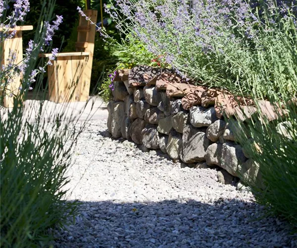 Mauern, Zäune und Hecken – mehr als nur Grenzen 