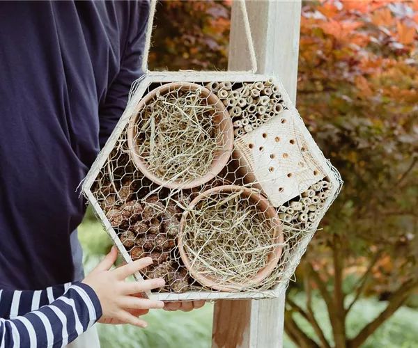 Ein Insektenhotel im Garten - Urlaub für kleine Nützlinge.