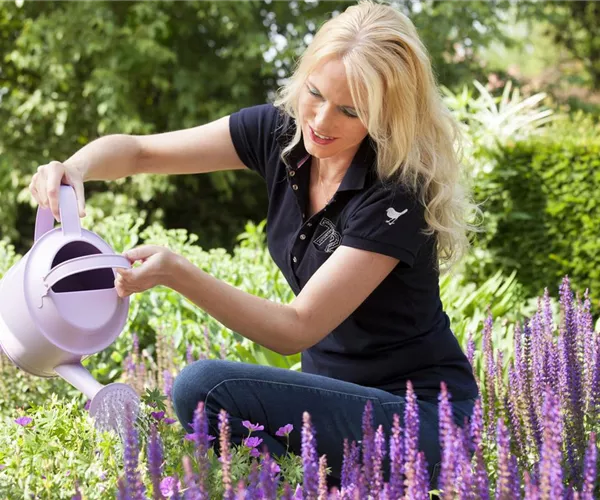 Wenn der Garten ruft: graben, lockern, schneiden 