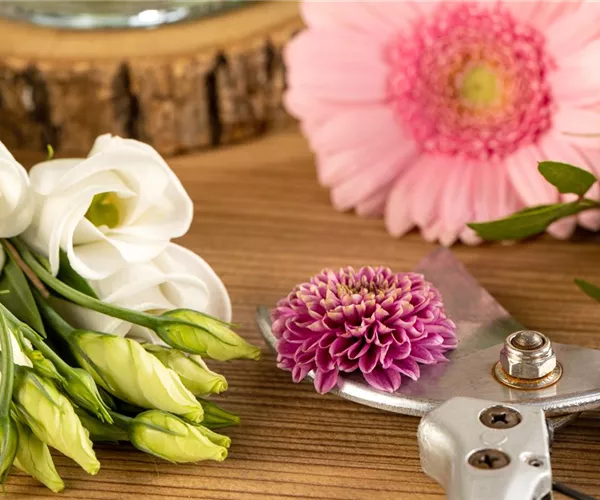 Schnittblumen - was hilft wirklich?