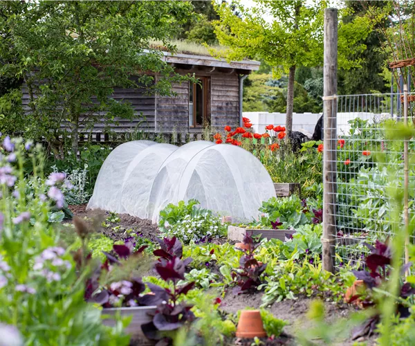 Ein Selbstversorgergarten sorgt für Freiheit