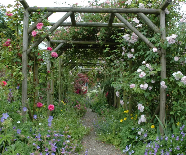 Die richtige Wahl von Rankhilfen für Kletterpflanzen