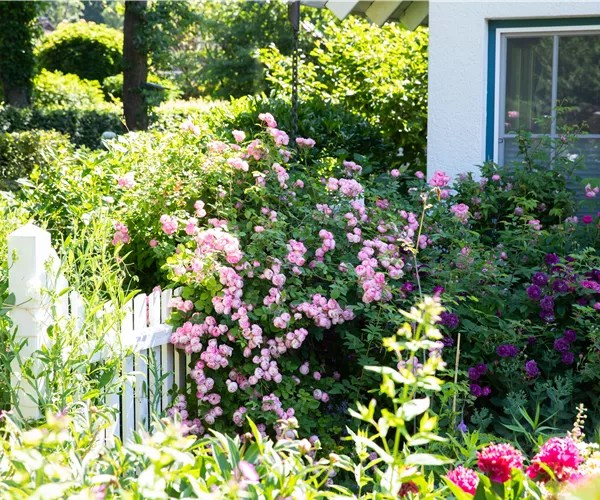 Gartengestaltung – Ideen für den eigenen Garten