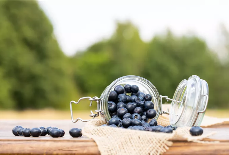 Heidelbeeren im Glas