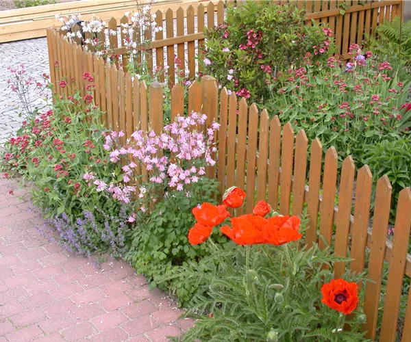 Schick eingerahmt - Die große Vielfalt der Gartenzäune