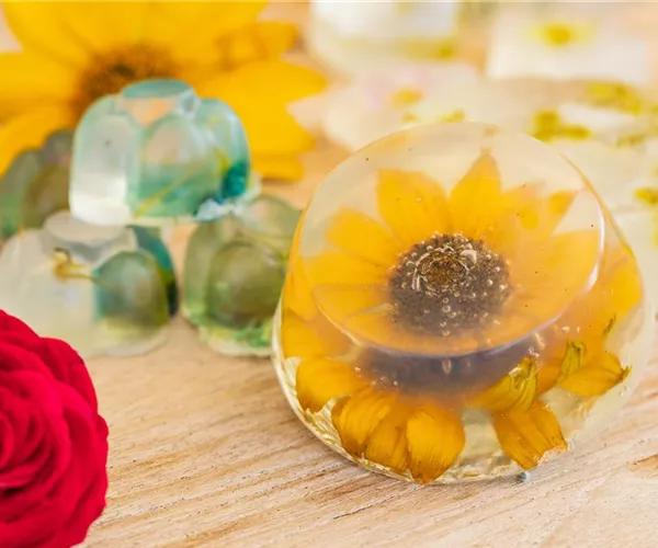 Blumenseife - die etwas andere Seife mit Blüten