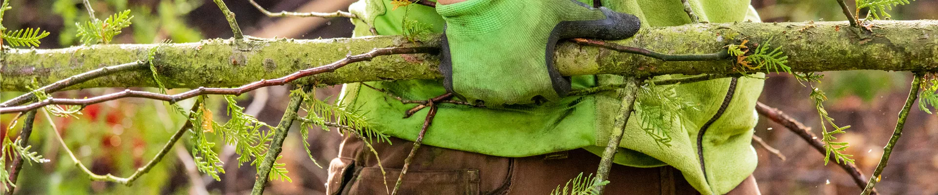 Gartenbau - Ast tragen