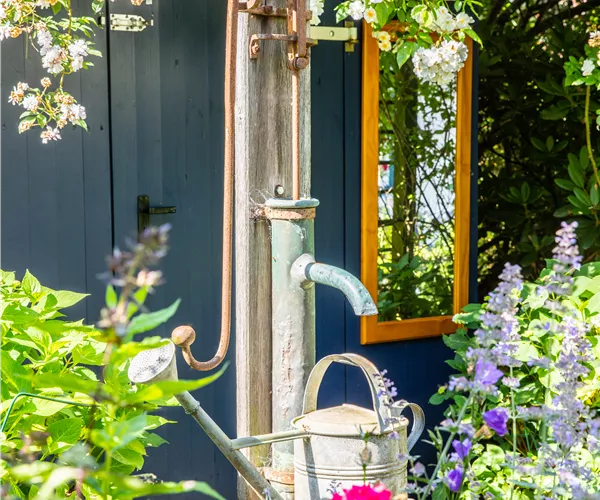 So einfach kann die Gartengestaltung mit Gartenpflanzen sein