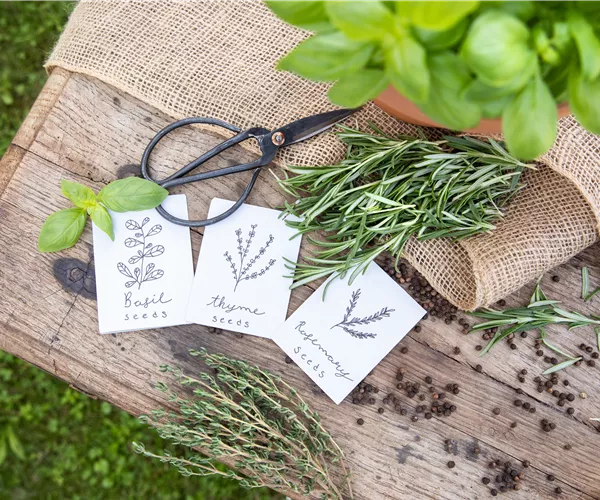 Ein Aussaatkalender sorgt für Übersicht bei der Gartenplanung