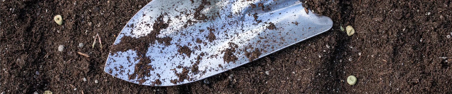 Aussaat - Schaufel in Erde