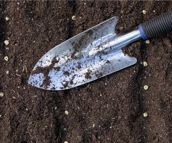 Mit dem passenden Saatgut für das Gewächshaus Gemüse anbauen