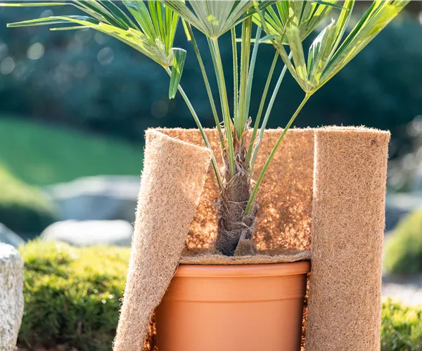 Den Garten winterfest machen