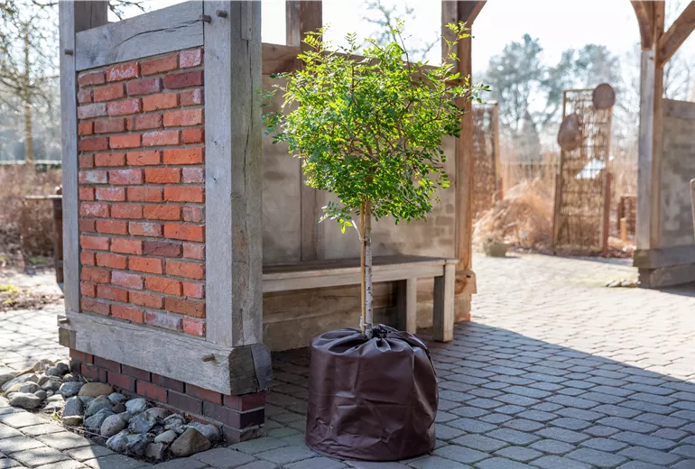 Überwinterung - Thermo Topfschutz