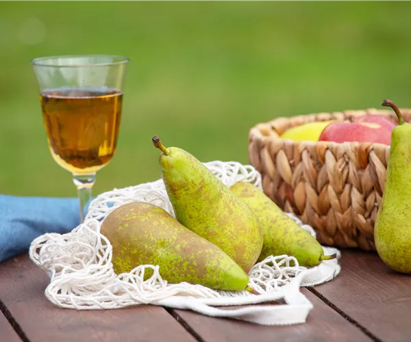 Birnen aus dem eigenen Garten genießen
