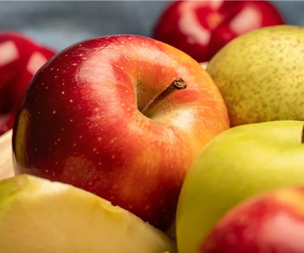Kern- und Steinobst im eigenen Garten für kleine und große Naschkatzen