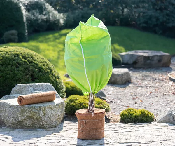 Gartenarbeit im Dezember – Hier ist mehr los als gedacht