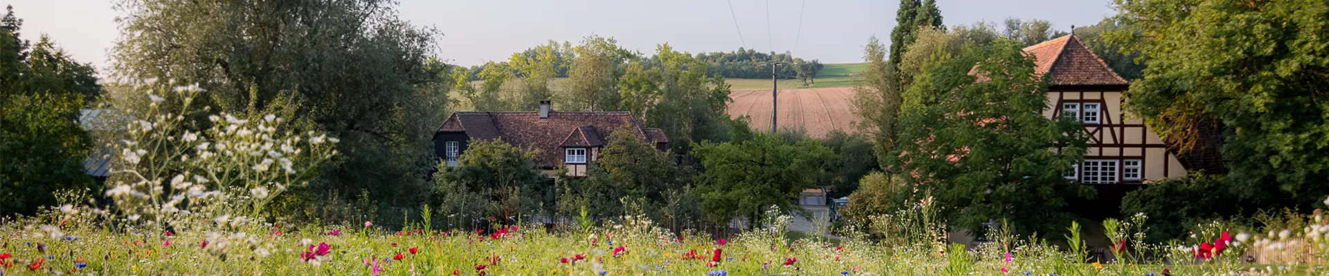 Baumschule-Hof-Zellesmuehle_00052
