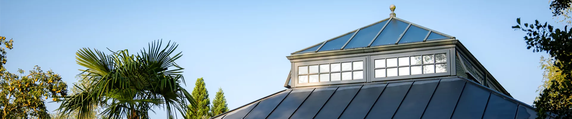 Baumschule-Hof-Zellesmuehle_00053